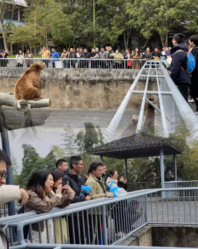 1679365046877734.png image.png