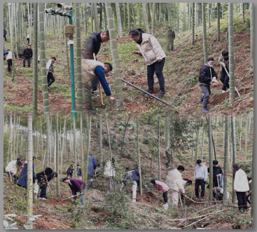 1679967091910417.png image.png