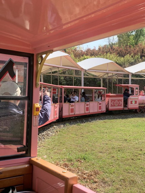 1681281856994026.png image.png