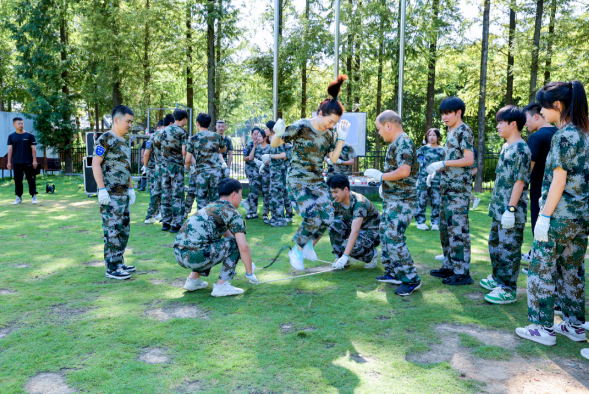 1694423683895355.png image.png