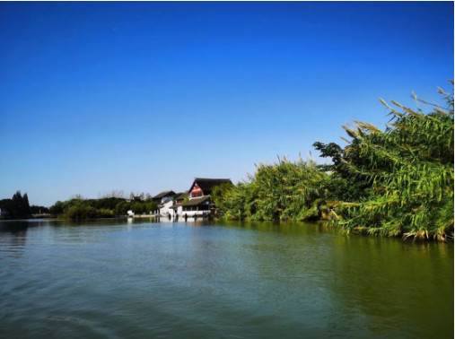 1699316484106201.png image.png