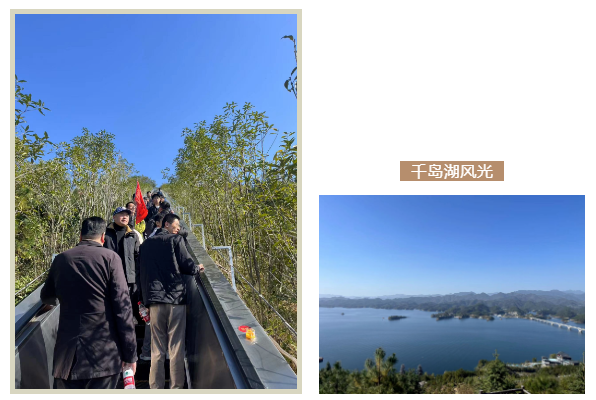 1700730334175673.png image.png